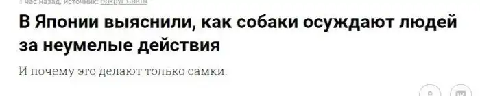 Заголовки новостей, которые рассказывают о мире, в котором мы живем больше, чем учебники по истории