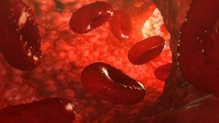 Ученые перелили искусственную кровь на основе стволовых клеток. Как себя чувствуют люди после инъекции