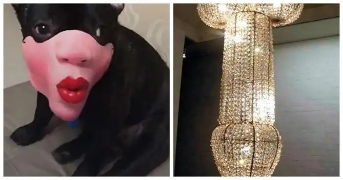 16 абсурдных товаров, которые можно приобрести в Интернет-магазинах