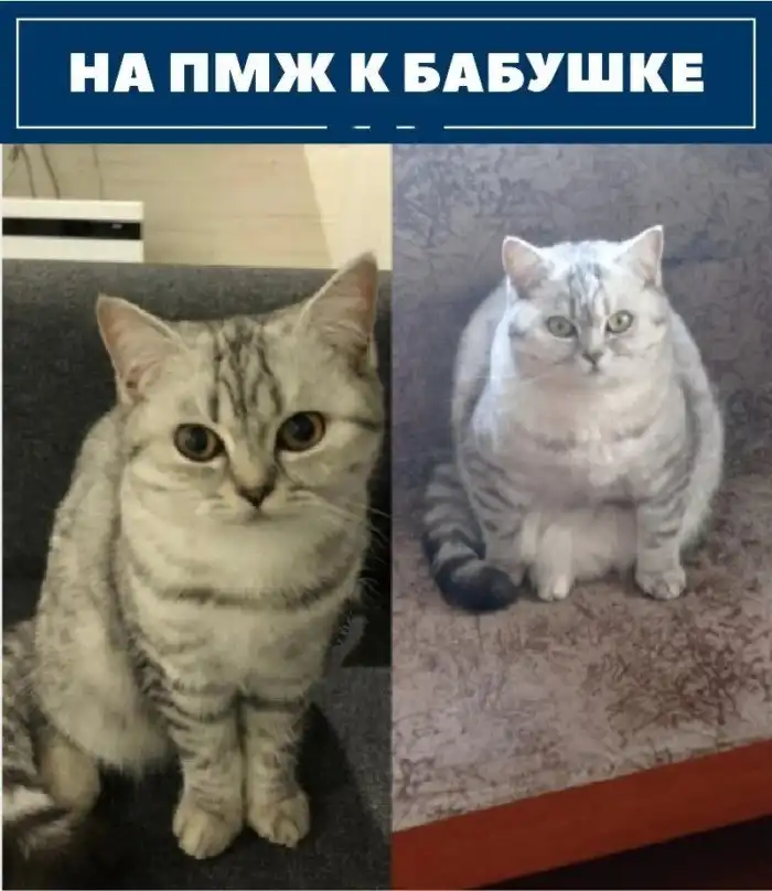 Ещё никто не уходил от бабушек голодным