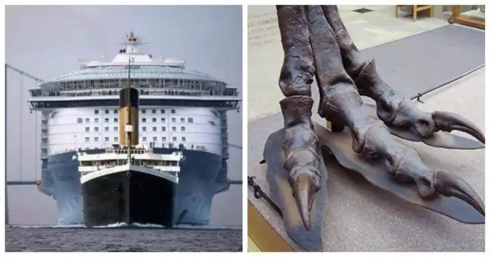 30 любопытных противопоставлений, которые позволят по другому взглянуть на мир