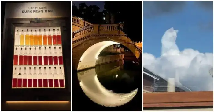 15 фото, на которых идеально всё, что аж не верится