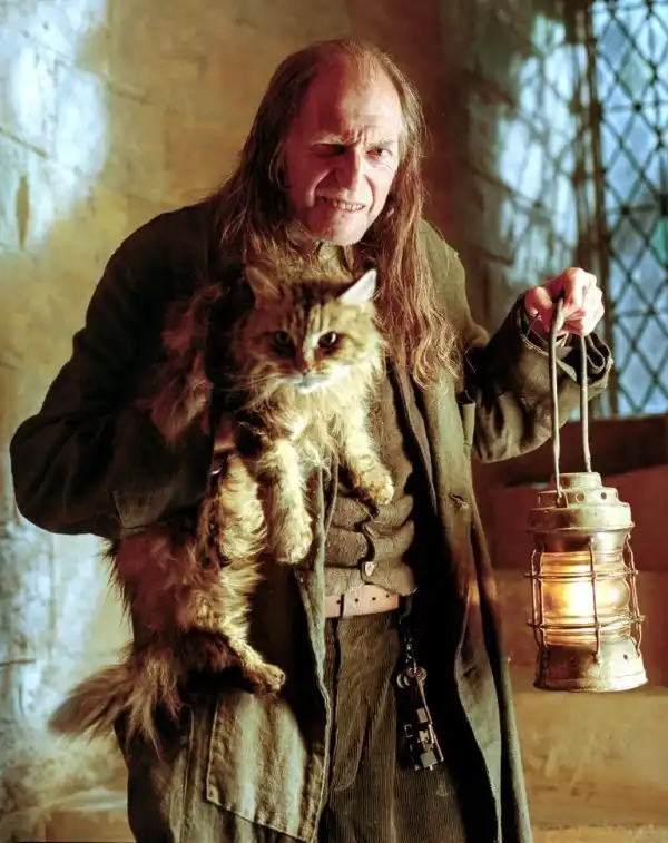 Коты-актеры, которые хорошо запомнились зрителям