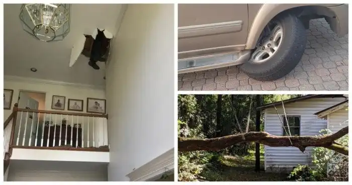 25 примеров того, как работает закон подлости