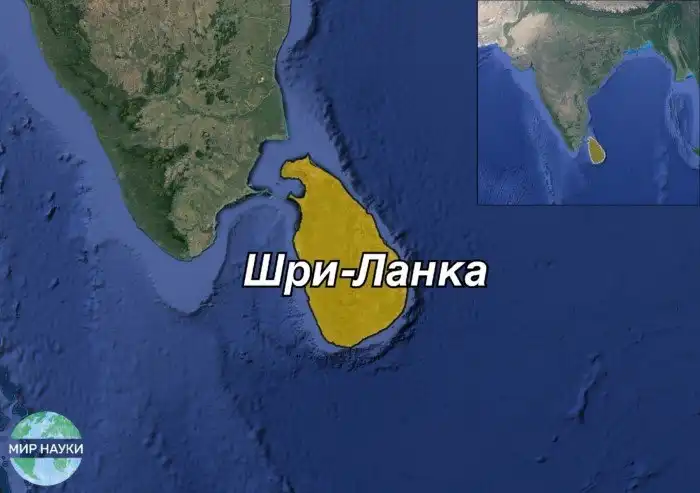 Шри-Ланка и клан Раджапакса: как одна семья засела во власти и обокрала целую страну