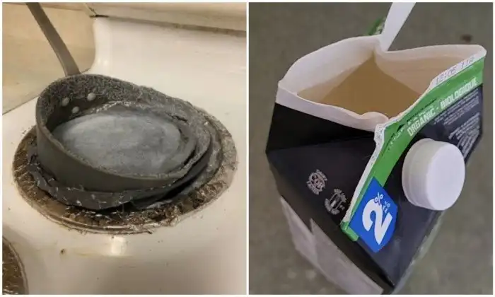 22 человека, которые вывели лень на новый уровень