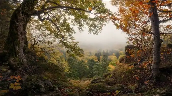 Случайный Ренессанс: 35 фото, похожих на картины эпохи Возрождения