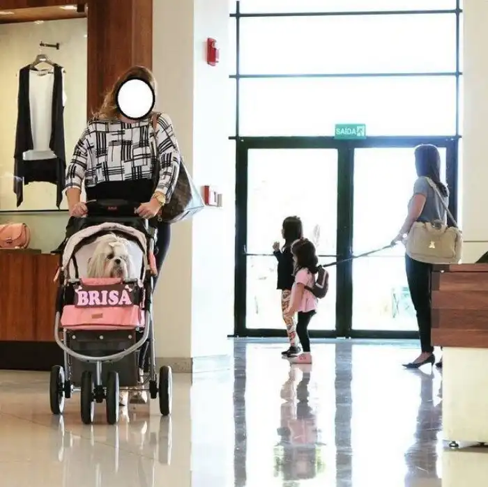 17 счастливых случаев, когда людям удалось поймать ироничный момент