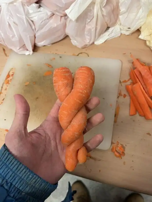 Подборка интересных и необычных явлений, которые заметили пользователи