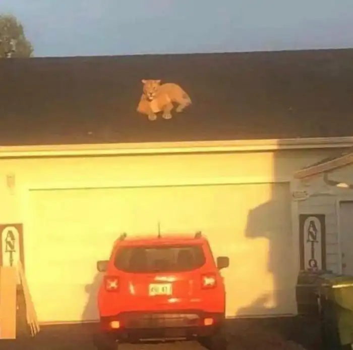 15 человек, у которых день - хуже некуда