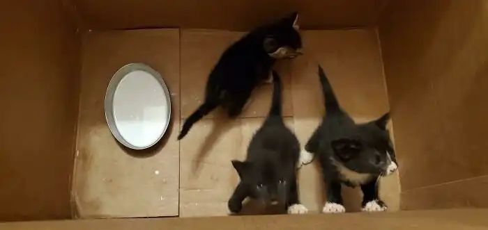 30 счастливчиков, которые отыскали среди мусора настоящее сокровище