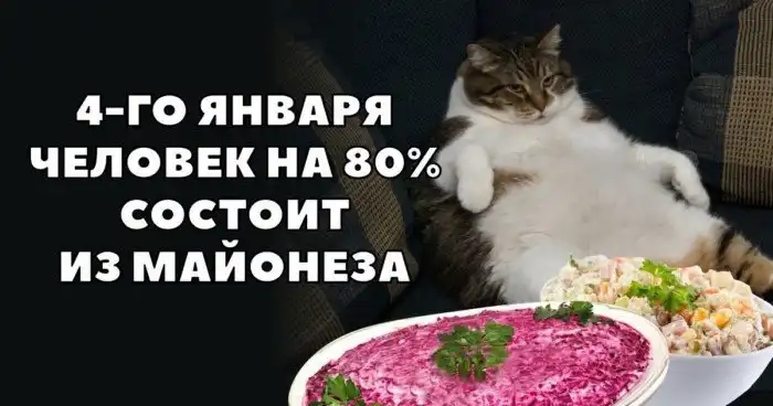 Близится главное испытание года: новогодний жор и январский дожор