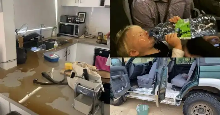 Когда удача повернулась не тем местом: подборка снимков с внезапными неприятностями