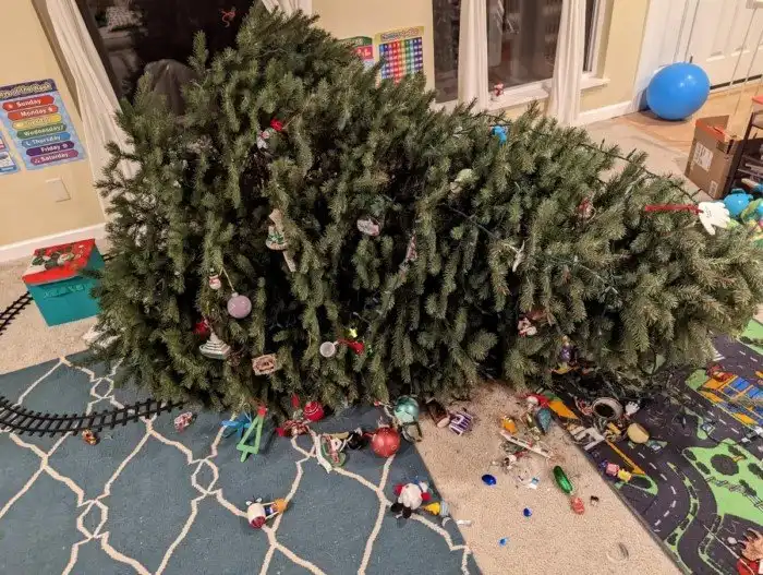 Когда удача повернулась не тем местом: подборка снимков с внезапными неприятностями