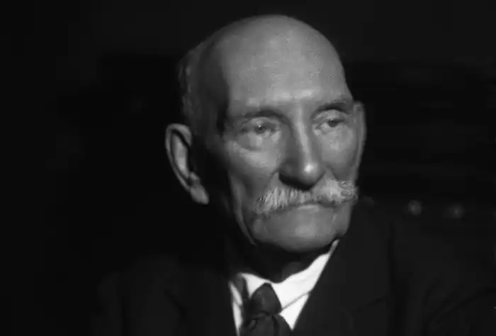 Проспиртованные хомяки, странный закон США и другие интересные факты и истории