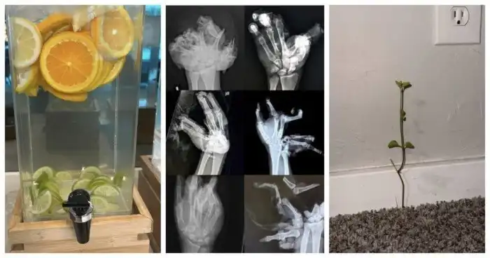 20 интересных фотографий из серии "Ну надо же!"