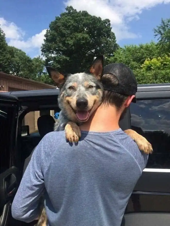 30 фото спасённых животных, которые греют душу