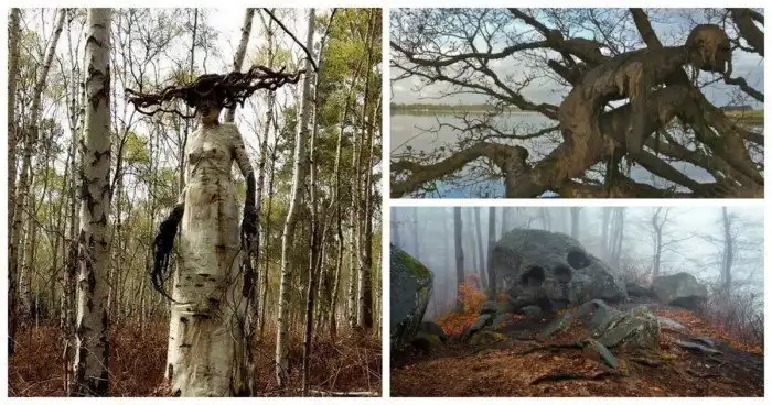 35 диковинных и неожиданных находок в лесу