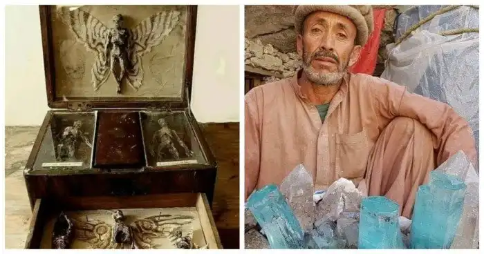 15 познавательных фотографий интересных находок