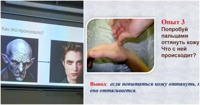 Слайды из презентаций, которые вызывают слишком много вопросов