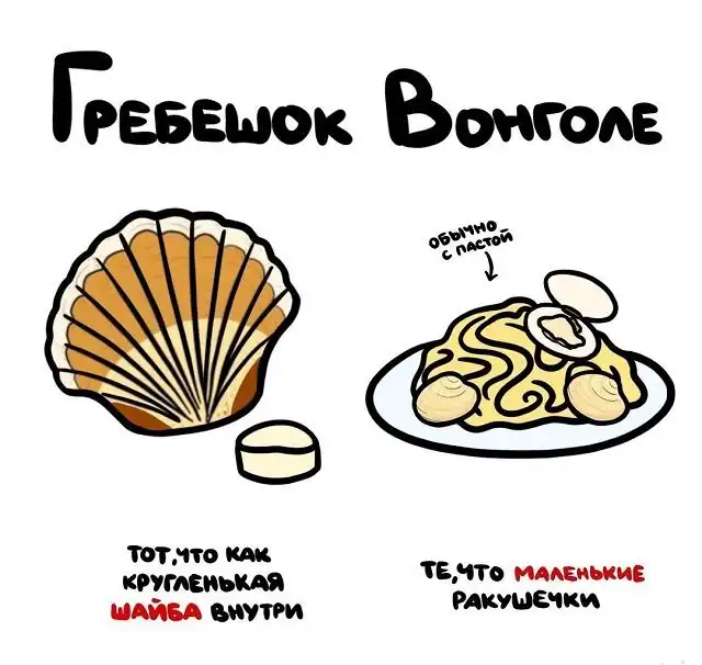 "Не перепутай": забавные подсказки о вещах и понятиях, которые люди часто путают