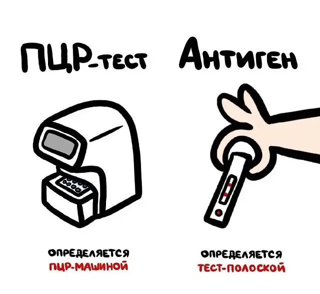"Не перепутай": забавные подсказки о вещах и понятиях, которые люди часто путают