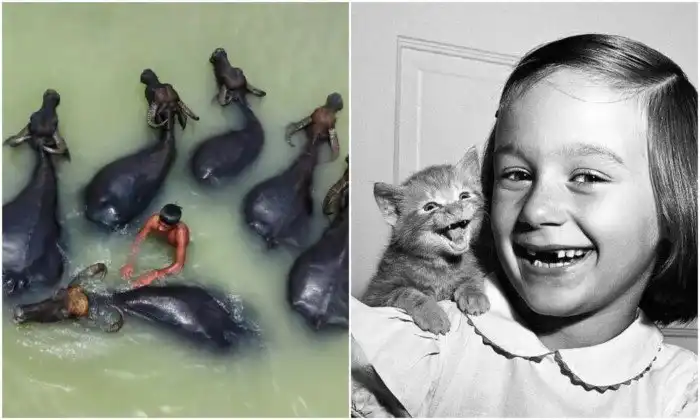 30 душевных кадров с животными, сделанных в разные годы