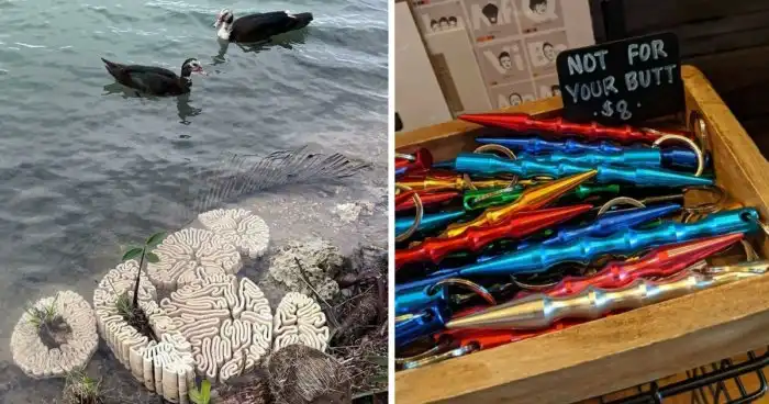 30 раз, когда онлайн-знатоки помогли людям опознать их находки