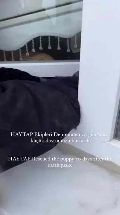 Счастливое спасение