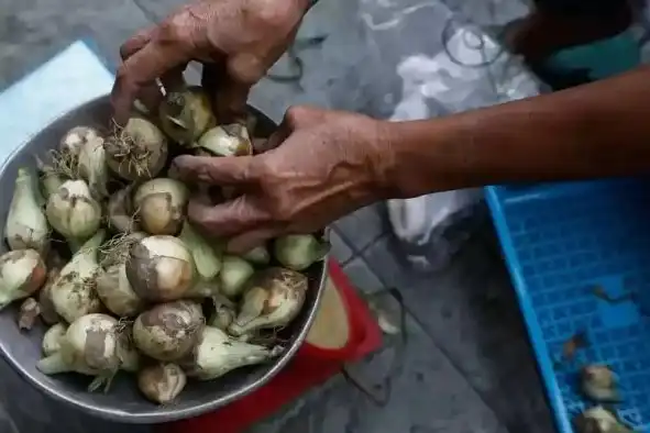Как лук на Филиппинах стал в буквальном смысле "новым золотом"