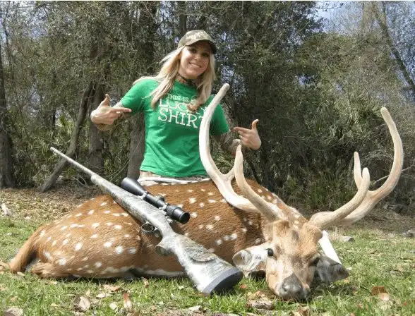 Дрессировка слонов и Аленей