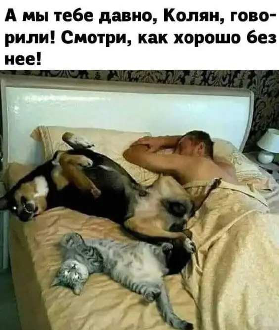 Так себе картинки