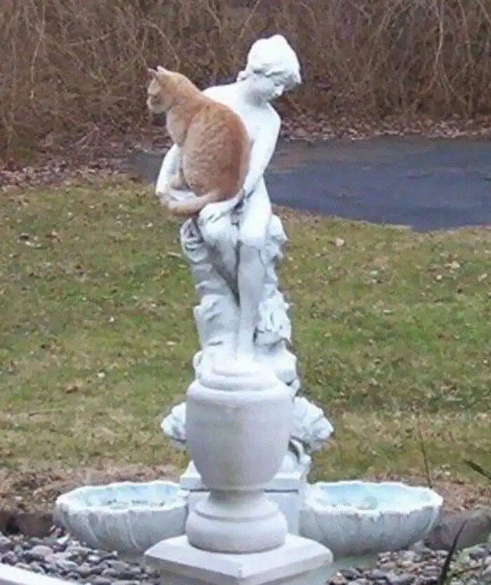 30 уморительных животных, которые оказались в неожиданных местах