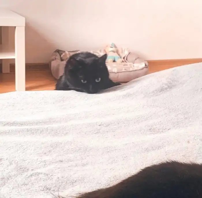 Царица среди смешных подборок, или Наши любимые "За секунду до..."