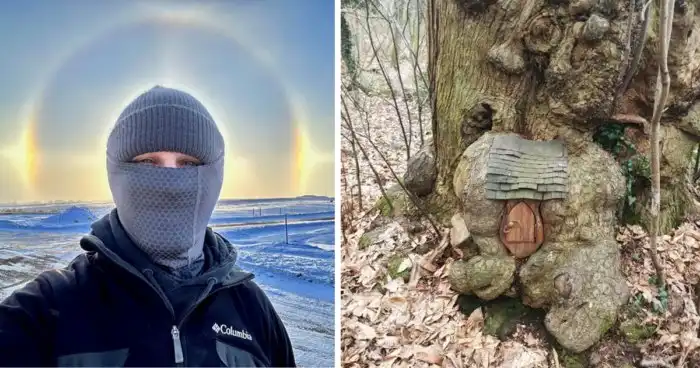 27 любопытных фото разных диковинок, которыми поделились пользователи сети