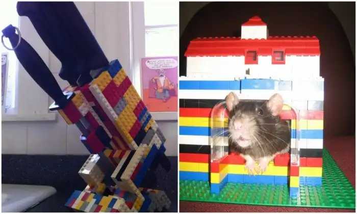 17 креативных идей использования деталей "Лего"