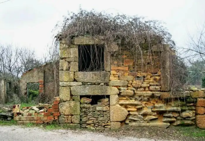 10 лет прожила в курятнике: история девочки, которую воспитывали куры