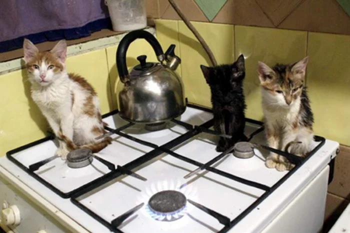 Природный газ не имеет запаха. Что же мы чувствуем при утечке газа