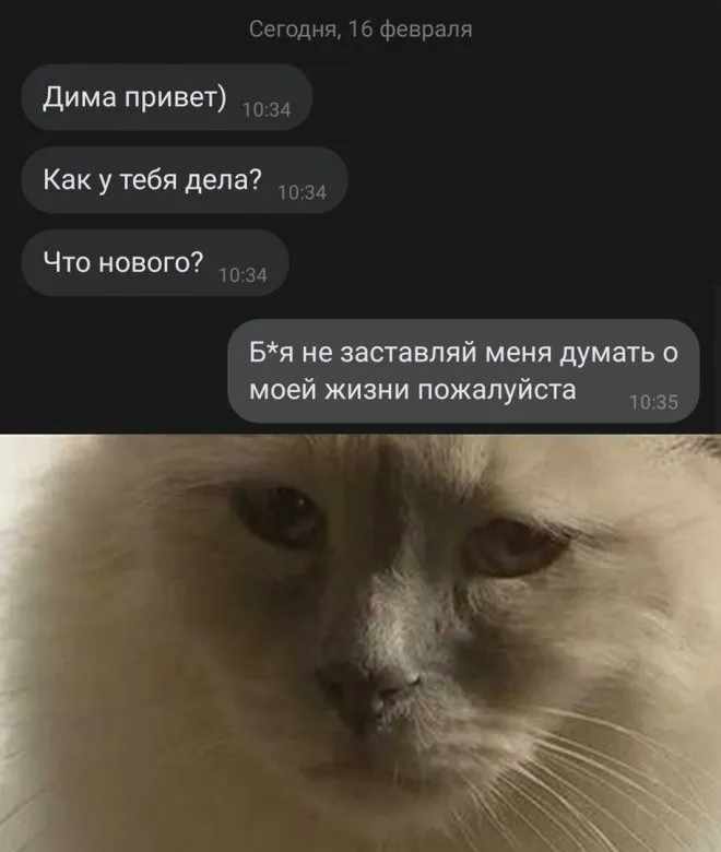 Скрины из соцсетей