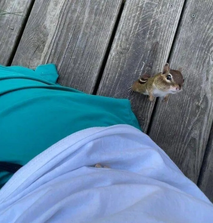 Вы не хотите на природу? Тогда природа идёт к вам!