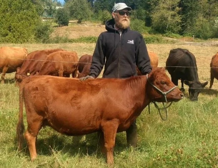 Декстер: Корова-такса. Удивительная порода маленьких коровок и их особенности