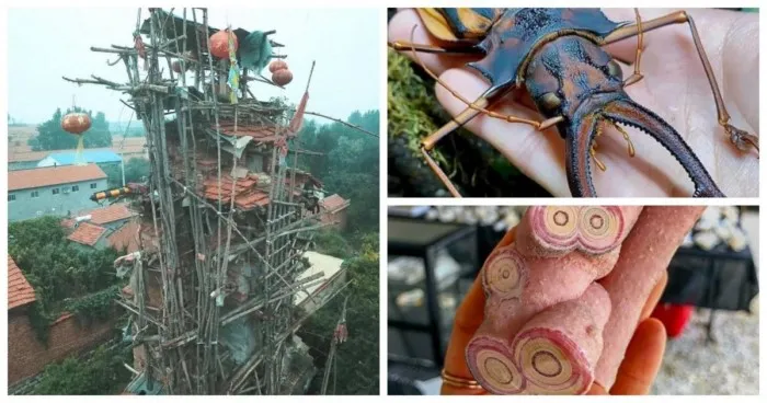 17 завораживающих фотографий необычных вещей со всего мира