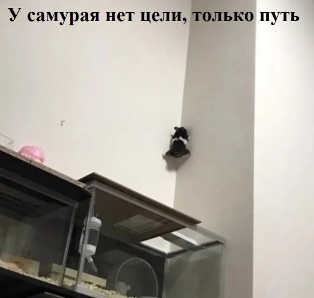 Картинки с надписями