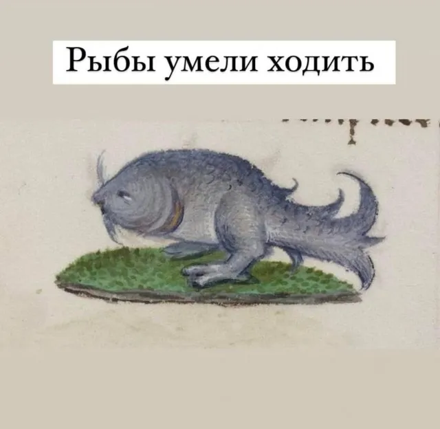 Факты из средневековья