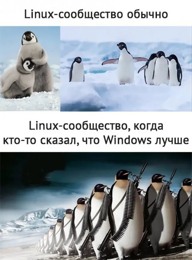 Картинки и мемы