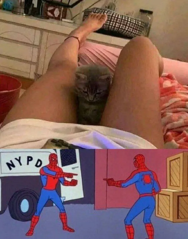 Картинки аморальные