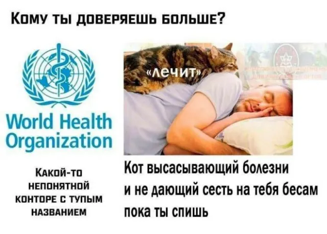 Картинки и мемы