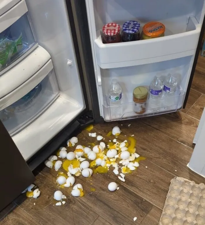 Неудачники, день которых начался с провала