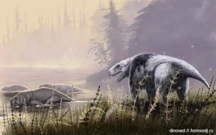 Мегавайтсия: Высший хищник эпохи до динозавров. Это не рептилия и не млекопитающее. Жил в России и мог быть ядовит