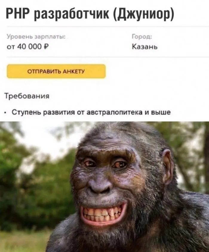 Веб-разработка — это лёгкий способ заработ... поседеть в 25 лет